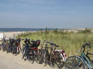 Appartement Walvis nr. 26B - 1