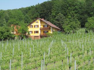 Appartement Weingut Schoberhof - Bad Gleichenberg - 7