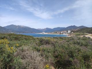 A Casa Vadiiolina - Chambres d'hôtes d'exception - Sollacaro - 6