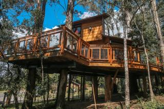 Casa na Árvore Morada dos Vagalumes - 8