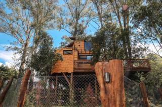 Casa na Árvore Morada dos Vagalumes - Farroupilha - 6