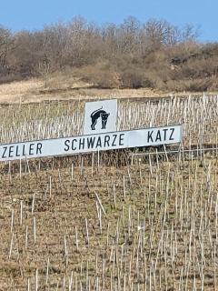 Fewo Siemens Mosel - Zell (Mosel) - 4