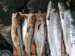 6 person holiday home in LONEVÅG-By Traum - 3