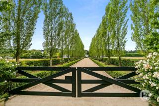 Farm Stay POPLAR Cottage at Wilindi Estate - 6