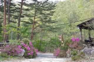 Blue Sky Milky Way Pension - Yangyang - 7