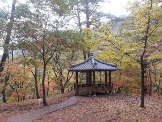 Blue Sky Milky Way Pension - 3