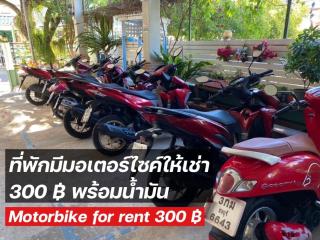 Winnerview Zone B - Ko Larn - 5
