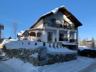 GOOD DAYS Shale Resort 4 км до Буковеля - Yablunytsya - 8