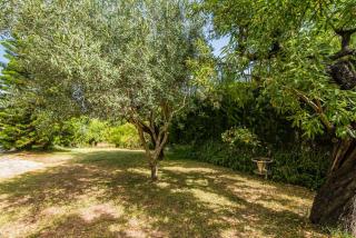 Ideal Property Mallorca - Can Reure - Inca - 6