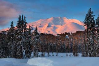 Woodpecker Lookout - Sunriver - 9