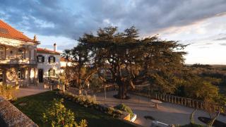 Casa do Cedro de Medelim - 7