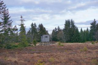 Apartmány U Muzea - 4