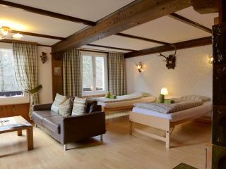 Apartment Stocki by Interhome - Lauterbrunnen - 8
