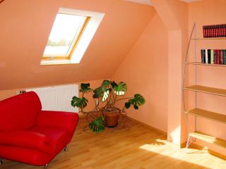 Holiday Home Alte Schmiede by Interhome - Kressin - 2