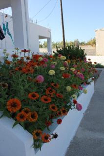 Studio Anthoula - Kefalos - 9