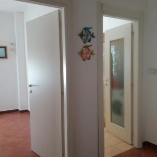 Appartamento Le Pavoncelle - Lido - 5