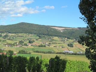 Appartement Weingut Schoberhof - Bad Gleichenberg - 6
