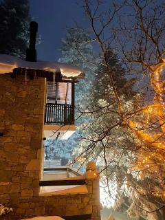 Asimina Guesthouse, Eptalofos Parnassos - Eptalofos - 7