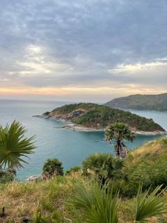 Tropical garden - Phuket - 7