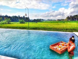 Champaca Luxury Villas Ubud - Ubud - 4
