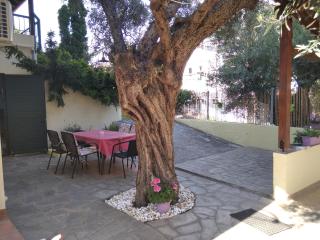 Apostolos - 6