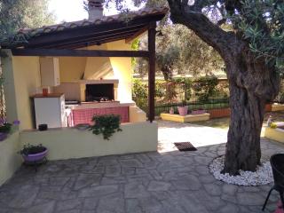Apostolos - 1
