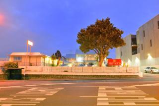 Sai Motels - Greenlane Auckland - Auckland - 0