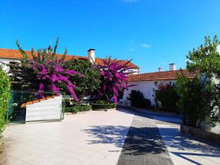 QM - Quinta da Morgadinha - Casa em Quinta Rural - Cabeços - 4