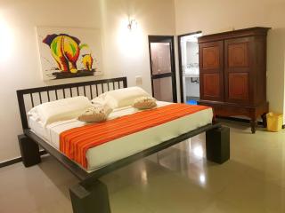 Coconut Garden River Villa - Galle - 3