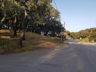 Casinha Laranja - 9