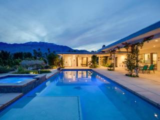 Casa Azul by ACME House Company - Palm Springs - 2