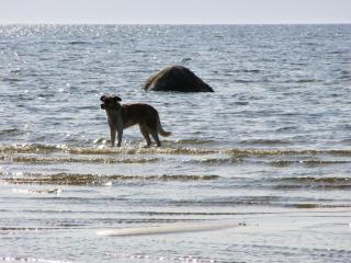 Treimani Puhkemaja - 5