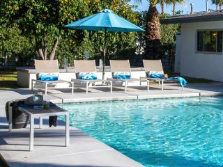 Shag Lover - Palm Springs - 9