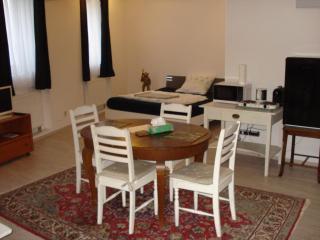 Appartement 45 qm mit Bad an der Mosel - Nähe Koblenz - Dieblich - 7