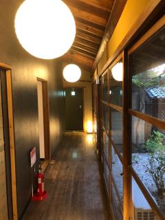 仔鹿 kojika - Nara - 3
