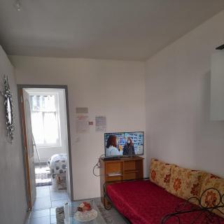 Fleurs de loutus 2 - Romilly-sur-Seine - 0