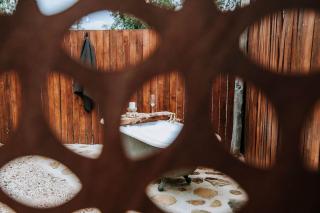 Olive Grove Winton - 1