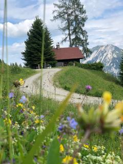 Jagdhütte Gammeringalm - 9
