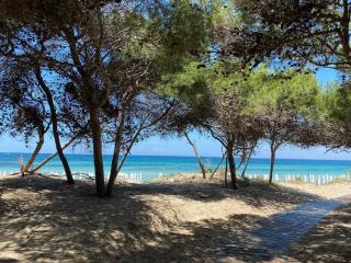 La Fenice sulla spiaggia - Gallipoli - 6