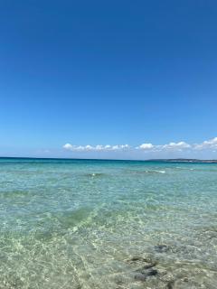 La Fenice sulla spiaggia - 8