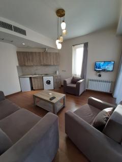 Deluxe apartment in The city center 2 rooms - Erevan - 5