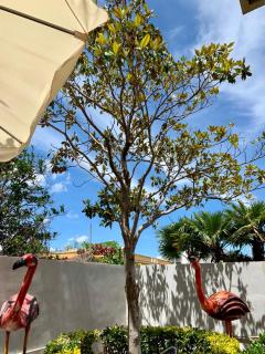 Pantanello blue sea - 9