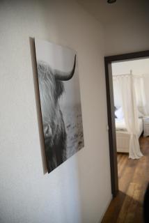 Ferienwohnung Die Alte Schule - Daun - 4