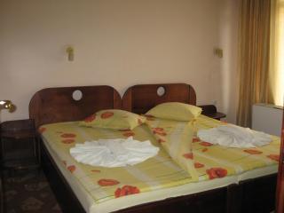 Family Hotel Iv - 8