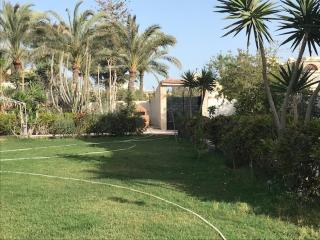 The White Oasis Family Villa - 3