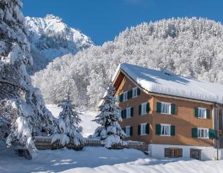 Alps Hoamat - Mellau - 9