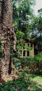 Jungle Tree House Munnar - Munnar - 8