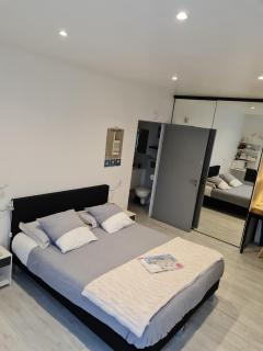 Chambre spacieuse, moderne et très confortable à Perros-Guirec - Perros-Guirec - 7