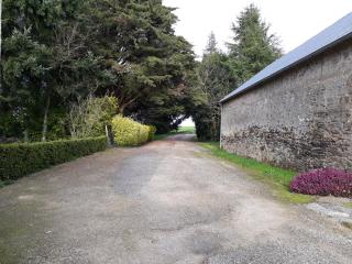 Gîte du Guinquis - Noyal-Pontivy - 9
