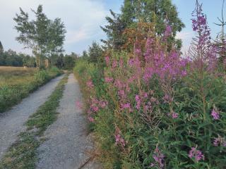 Wrzosowy Dwór - SPA - 3